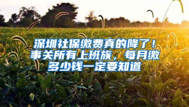 深圳社保繳費真的降了！事關所有上班族，每月繳多少錢一定要知道