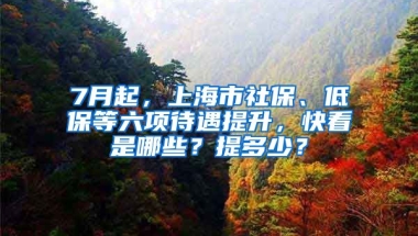 7月起，上海市社保、低保等六項待遇提升，快看是哪些？提多少？