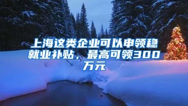 上海這類企業(yè)可以申領(lǐng)穩(wěn)就業(yè)補(bǔ)貼，最高可領(lǐng)300萬元