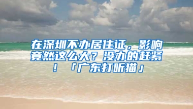 在深圳不辦居住證，影響竟然這么大？沒辦的趕緊！「廣東打聽貓」