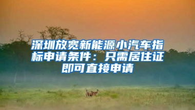 深圳放寬新能源小汽車指標申請條件：只需居住證即可直接申請