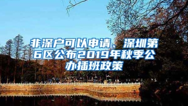 非深戶可以申請(qǐng)、深圳第6區(qū)公布2019年秋季公辦插班政策