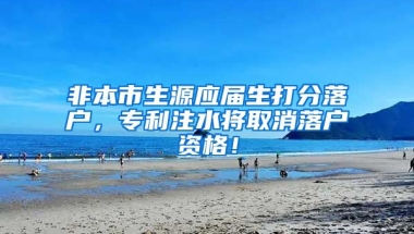 非本市生源應(yīng)屆生打分落戶，專利注水將取消落戶資格！