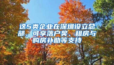 這5類企業(yè)在深圳設(shè)立總部，可享落戶獎、租房與購房補助等支持