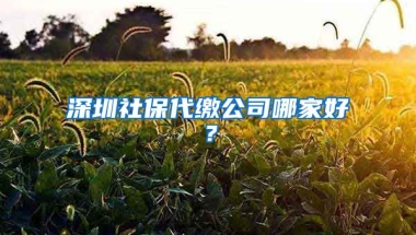 深圳社保代繳公司哪家好？