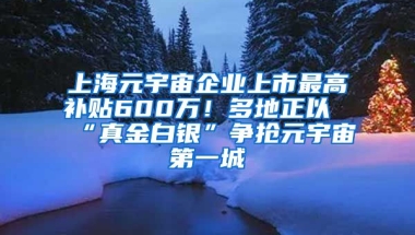 上海元宇宙企業(yè)上市最高補(bǔ)貼600萬(wàn)！多地正以“真金白銀”爭(zhēng)搶元宇宙第一城