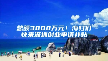 總額3000萬元！海歸們快來深圳創(chuàng)業(yè)申請補貼