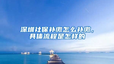 深圳社保補繳怎么補繳，具體流程是怎樣的