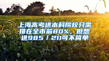 上海高考進(jìn)本科院校只需排在全市前80%，但想進(jìn)985／211可不簡(jiǎn)單