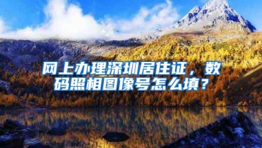 網(wǎng)上辦理深圳居住證，數(shù)碼照相圖像號怎么填？