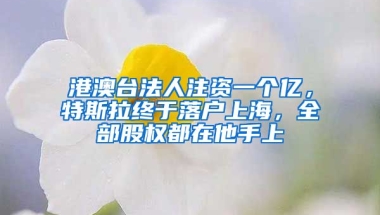 港澳臺(tái)法人注資一個(gè)億，特斯拉終于落戶上海，全部股權(quán)都在他手上