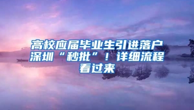 高校應屆畢業(yè)生引進落戶深圳“秒批”！詳細流程看過來