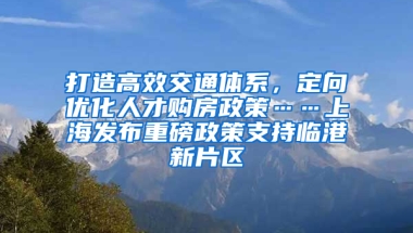 打造高效交通體系，定向優(yōu)化人才購房政策……上海發(fā)布重磅政策支持臨港新片區(qū)