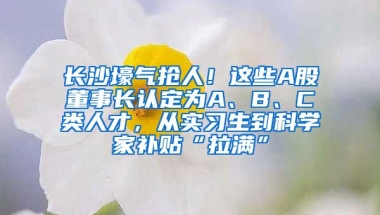 長沙壕氣搶人！這些A股董事長認(rèn)定為A、B、C類人才，從實(shí)習(xí)生到科學(xué)家補(bǔ)貼“拉滿”