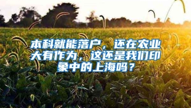 本科就能落戶，還在農業(yè)大有作為，這還是我們印象中的上海嗎？