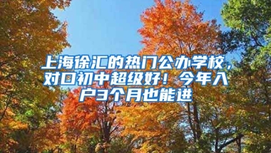 上海徐匯的熱門公辦學(xué)校，對口初中超級好！今年入戶3個(gè)月也能進(jìn)