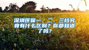 深圳醫(yī)保一、二、三檔究竟有什么區(qū)別？你都知道了嗎？