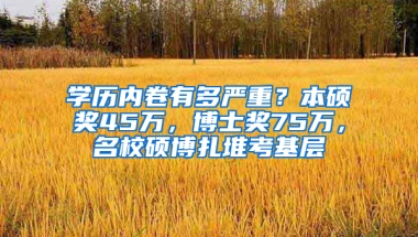 學(xué)歷內(nèi)卷有多嚴(yán)重？本碩獎45萬，博士獎75萬，名校碩博扎堆考基層