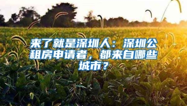 來了就是深圳人：深圳公租房申請者，都來自哪些城市？