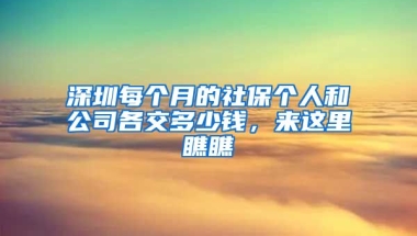 深圳每個月的社保個人和公司各交多少錢，來這里瞧瞧