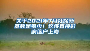 關乎2021年7月社保新基數(shù)是多少！這將直接影響落戶上海