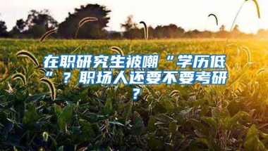 在職研究生被嘲“學歷低”？職場人還要不要考研？