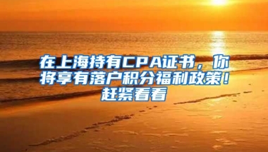 在上海持有CPA證書，你將享有落戶積分福利政策！趕緊看看