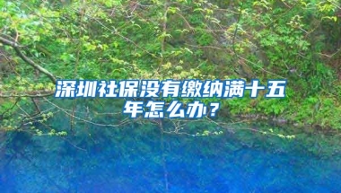 深圳社保沒有繳納滿十五年怎么辦？