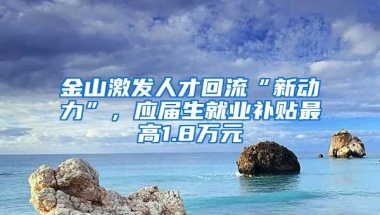 金山激發(fā)人才回流“新動(dòng)力”，應(yīng)屆生就業(yè)補(bǔ)貼最高1.8萬(wàn)元