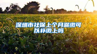 深圳市社保上個(gè)月漏繳可以補(bǔ)繳上嗎