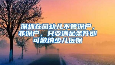 深圳在園幼兒不管深戶，非深戶，只要滿足條件即可繳納少兒醫(yī)保