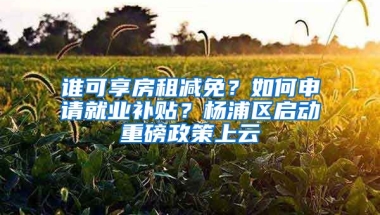 誰(shuí)可享房租減免？如何申請(qǐng)就業(yè)補(bǔ)貼？楊浦區(qū)啟動(dòng)重磅政策上云