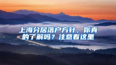 上海分居落戶方針，你真的了解嗎？注意看這里