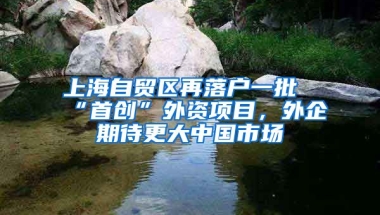 上海自貿(mào)區(qū)再落戶一批“首創(chuàng)”外資項目，外企期待更大中國市場