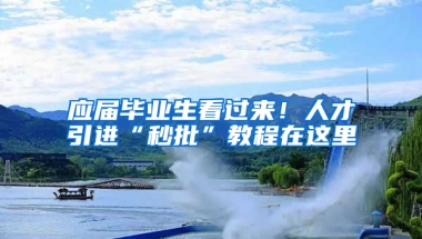 應(yīng)屆畢業(yè)生看過(guò)來(lái)！人才引進(jìn)“秒批”教程在這里