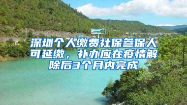 深圳個(gè)人繳費(fèi)社保參保人可延繳，補(bǔ)辦應(yīng)在疫情解除后3個(gè)月內(nèi)完成