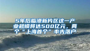 5年后臨港新片區(qū)這一產(chǎn)業(yè)規(guī)模將達(dá)500億元，兩個“上海首個”率先落戶