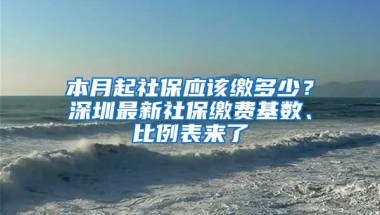 本月起社保應該繳多少？深圳最新社保繳費基數(shù)、比例表來了