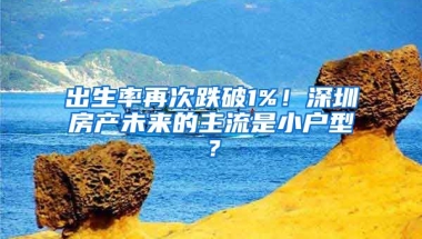 出生率再次跌破1%！深圳房產(chǎn)未來的主流是小戶型？