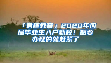 「君穗教育」2020年應(yīng)屆畢業(yè)生入戶(hù)新政！想要辦理的就趕緊了