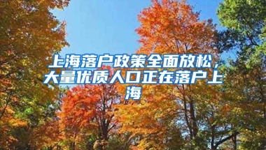 上海落戶政策全面放松，大量優(yōu)質(zhì)人口正在落戶上海