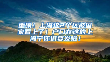 重磅！上海這2個區(qū)被國家看上了！戶口在這的上海寧你們要發(fā)啦！