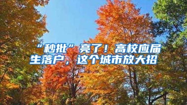 “秒批”亮了！高校應(yīng)屆生落戶，這個(gè)城市放大招