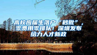 高校應(yīng)屆生落戶“秒批”，零費用零排隊！深圳發(fā)布給力人才新政