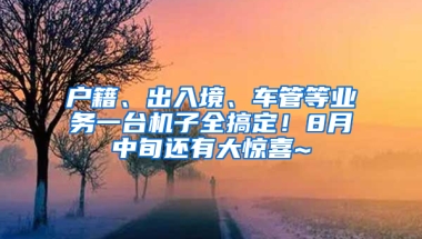 戶籍、出入境、車(chē)管等業(yè)務(wù)一臺(tái)機(jī)子全搞定！8月中旬還有大驚喜~