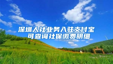 深圳人社業(yè)務(wù)入駐支付寶 可查詢社保繳費(fèi)明細(xì)