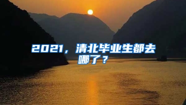 2021，清北畢業(yè)生都去哪了？