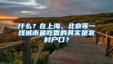 什么？在上海、北京等一線城市最吃香的其實是農(nóng)村戶口？