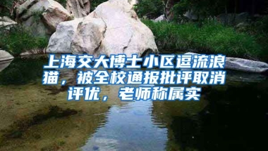 上海交大博士小區(qū)逗流浪貓，被全校通報批評取消評優(yōu)，老師稱屬實