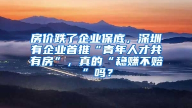 房?jī)r(jià)跌了企業(yè)保底，深圳有企業(yè)首推“青年人才共有房”，真的“穩(wěn)賺不賠”嗎？